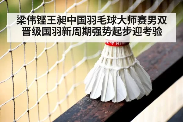 badminton net play competition